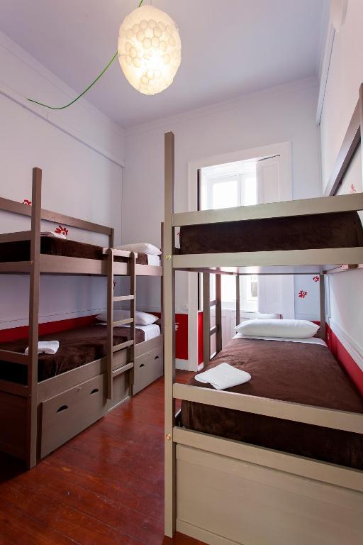 Ecohostel Bettmar لاس بالماس دي غران كاناريا الغرفة الصورة